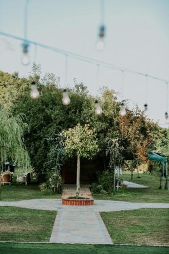 IMG-20190721-WA0131